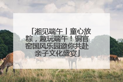 湘见端午丨童心放粽，趣玩端午！铜官窑国风乐园邀你共赴亲子文化盛宴