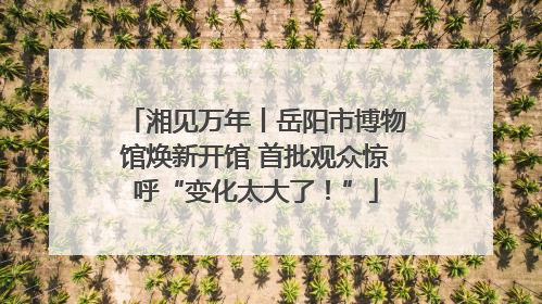 湘见万年丨岳阳市博物馆焕新开馆 首批观众惊呼“变化太大了！”