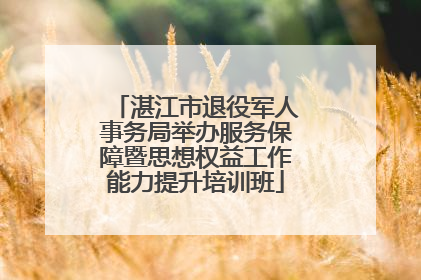 湛江市退役军人事务局举办服务保障暨思想权益工作能力提升培训班