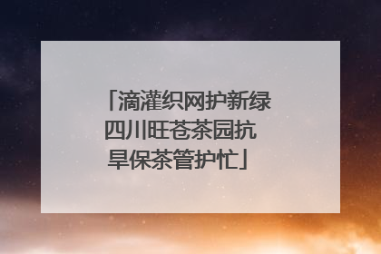 滴灌织网护新绿 四川旺苍茶园抗旱保茶管护忙