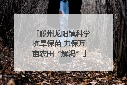 滕州龙阳镇科学抗旱保苗 力保万亩农田“解渴”
