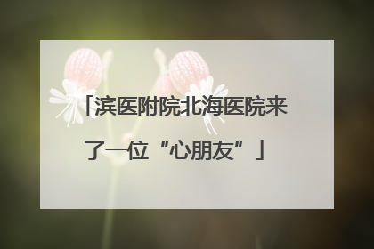 滨医附院北海医院来了一位“心朋友”