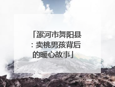 漯河市舞阳县：卖桃男孩背后的暖心故事