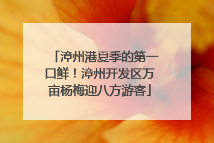 漳州港夏季的第一口鲜！漳州开发区万亩杨梅迎八方游客