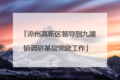 漳州高新区领导到九湖镇调研基层党建工作