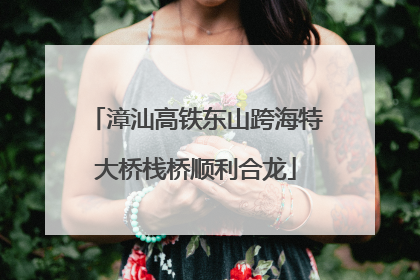 漳汕高铁东山跨海特大桥栈桥顺利合龙