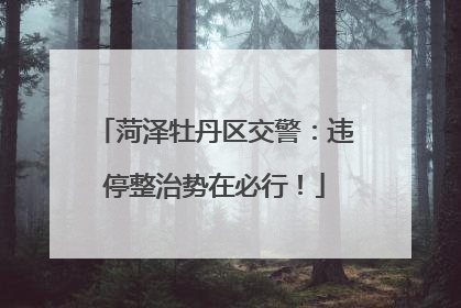 菏泽牡丹区交警：违停整治势在必行！