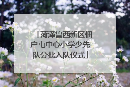 菏泽鲁西新区佃户屯中心小学少先队分批入队仪式