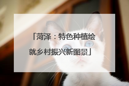 菏泽：特色种植绘就乡村振兴新图景