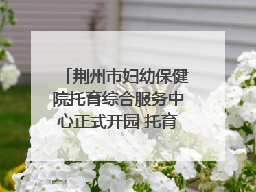 荆州市妇幼保健院托育综合服务中心正式开园 托育宣传月同步启动