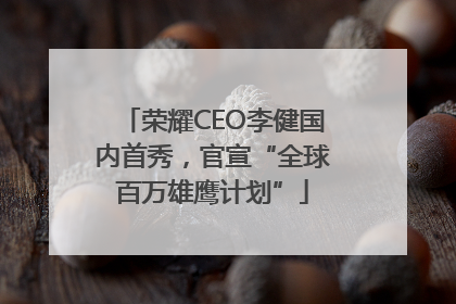 荣耀CEO李健国内首秀，官宣“全球百万雄鹰计划”