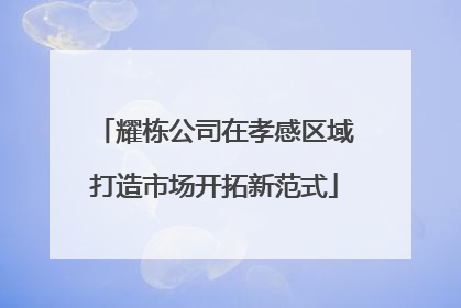 耀栋公司在孝感区域打造市场开拓新范式