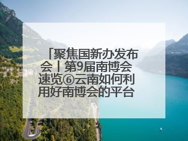 聚焦国新办发布会丨第9届南博会速览⑥云南如何利用好南博会的平台带动作用，深化与南亚国家的交流与合作？