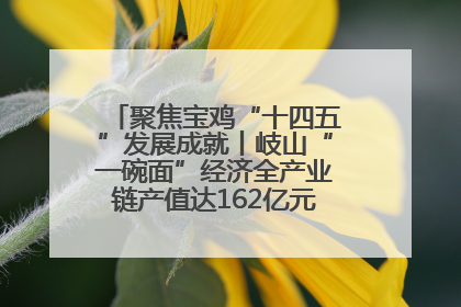 聚焦宝鸡“十四五”发展成就丨岐山“一碗面”经济全产业链产值达162亿元 入选全国典型县