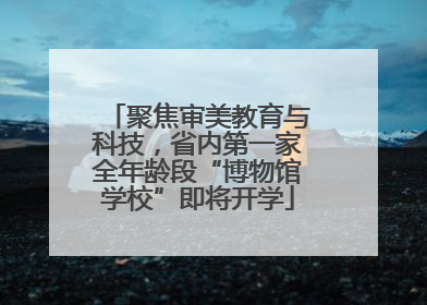 聚焦审美教育与科技，省内第一家全年龄段“博物馆学校”即将开学