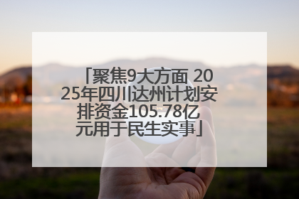 聚焦9大方面 2025年四川达州计划安排资金105.78亿元用于民生实事