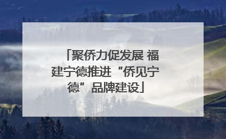 聚侨力促发展 福建宁德推进“侨见宁德”品牌建设