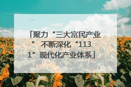 聚力“三大富民产业” 不断深化“1131”现代化产业体系