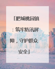 肥城桃园镇：筑牢防汛屏障，守护群众安全
