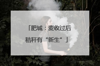 肥城：麦收过后秸秆有“新生”