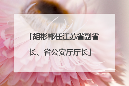胡彬郴任江苏省副省长、省公安厅厅长