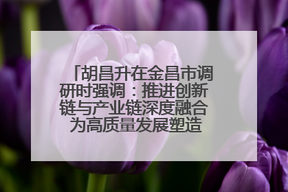 胡昌升在金昌市调研时强调：推进创新链与产业链深度融合 为高质量发展塑造新动能新优势