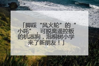 脚踩“风火轮”的“小吒”，可脱离遥控板的机器狗，泡桐树小学来了新朋友！