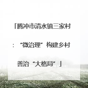 腾冲市清水镇三家村：“微治理”构建乡村善治“大格局”