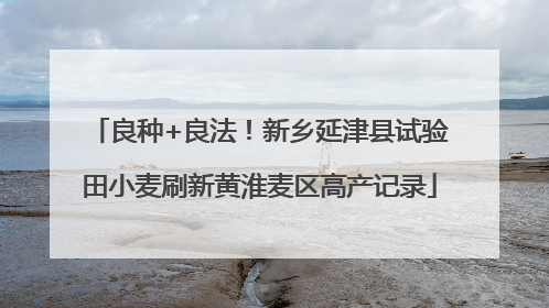 良种+良法！新乡延津县试验田小麦刷新黄淮麦区高产记录