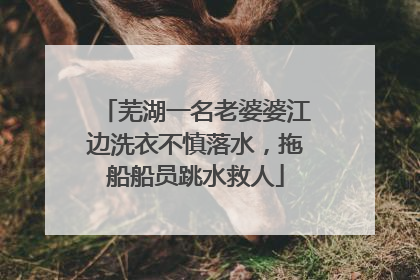 芜湖一名老婆婆江边洗衣不慎落水，拖船船员跳水救人