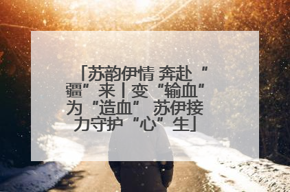 苏韵伊情 奔赴“疆”来丨变“输血”为“造血” 苏伊接力守护“心”生