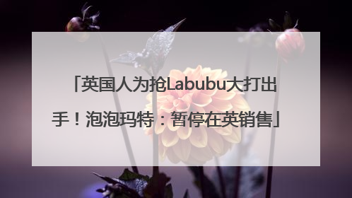 英国人为抢Labubu大打出手！泡泡玛特：暂停在英销售