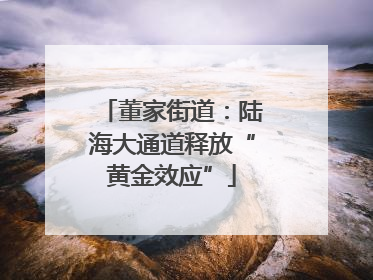 董家街道：陆海大通道释放“黄金效应”