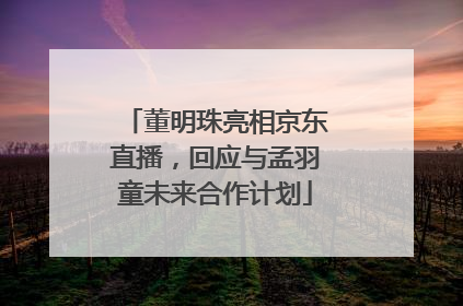 董明珠亮相京东直播，回应与孟羽童未来合作计划