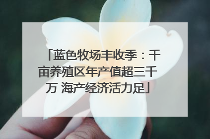 蓝色牧场丰收季：千亩养殖区年产值超三千万 海产经济活力足