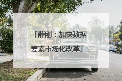 薛刚：加快数据要素市场化改革