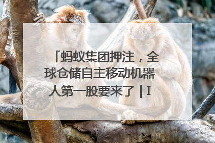 蚂蚁集团押注，全球仓储自主移动机器人第一股要来了｜IPO直通车