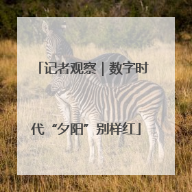 记者观察｜数字时代“夕阳”别样红