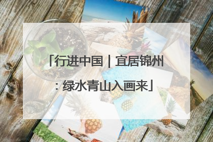 行进中国｜宜居锦州：绿水青山入画来