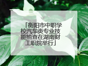 衡阳市中职学校汽车类专业技能抽查在湖南财工职院举行