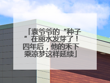 袁爷爷的“种子”在丽水发芽了！四年后，他的禾下乘凉梦这样延续