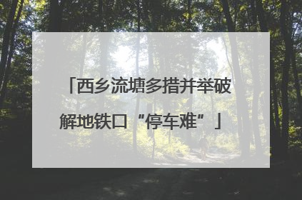 西乡流塘多措并举破解地铁口“停车难”