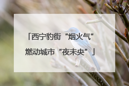 西宁豹街“烟火气” 燃动城市“夜未央”
