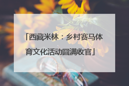 西藏米林：乡村赛马体育文化活动圆满收官
