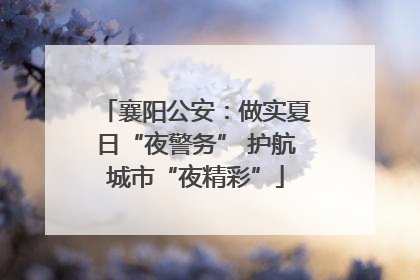 襄阳公安：做实夏日“夜警务” 护航城市“夜精彩”