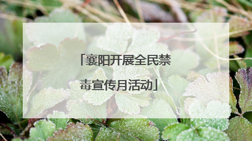 襄阳开展全民禁毒宣传月活动