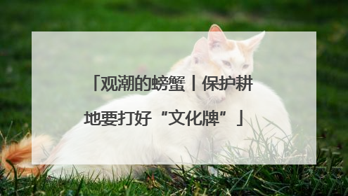 观潮的螃蟹丨保护耕地要打好“文化牌”