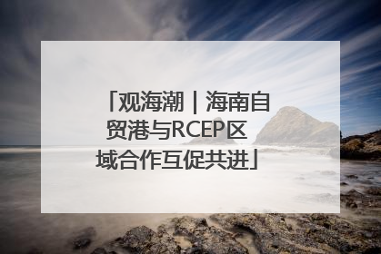 观海潮｜海南自贸港与RCEP区域合作互促共进