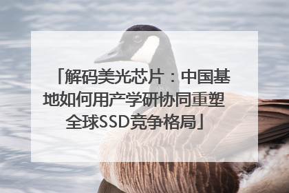 解码美光芯片：中国基地如何用产学研协同重塑全球SSD竞争格局
