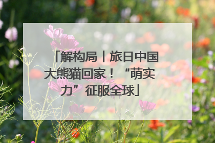 解构局丨旅日中国大熊猫回家！“萌实力”征服全球